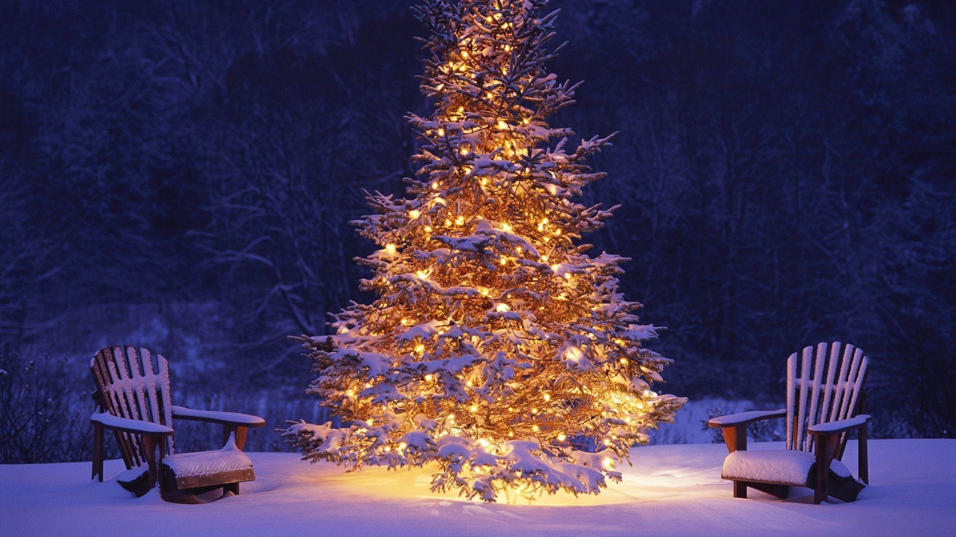 new year christmass tree